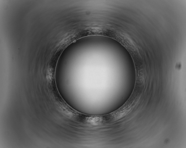 X0000101180135200806271300
