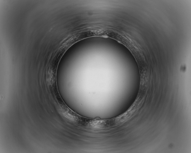 X0000101180136200806271300