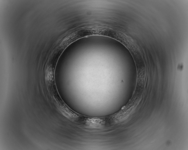 X0000101180137200806271300