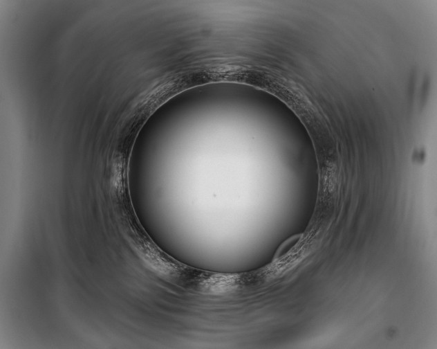 X0000101180138200806271300