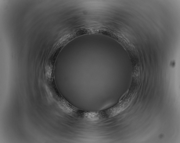 X0000101180139200806271300