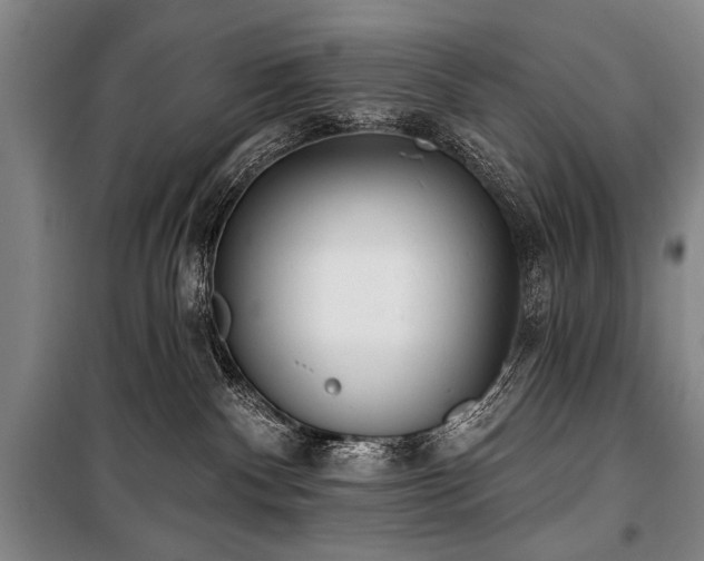 X0000101180140200806271300