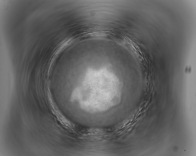 X0000101180145200806271259