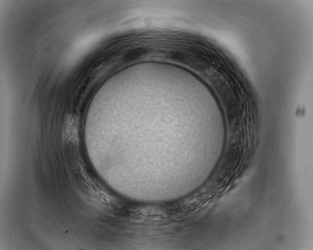X0000101180146200806271259