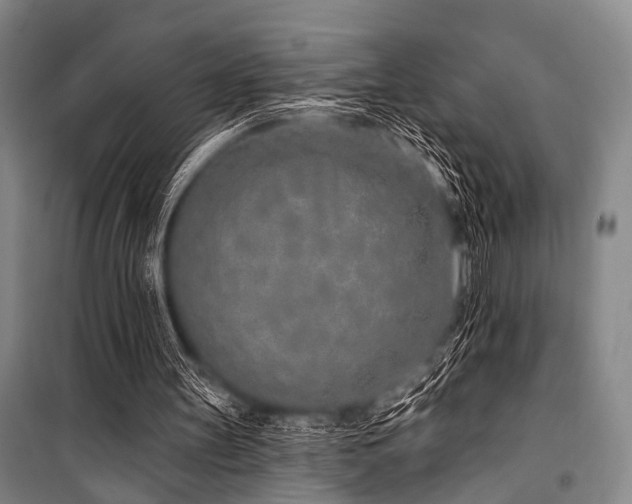 X0000101180147200806271259