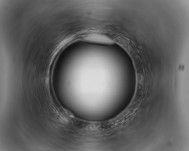 X0000101180148200806271300