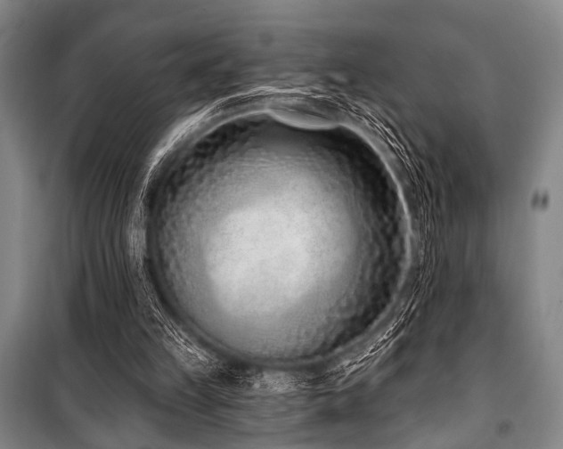 X0000101180149200806271300