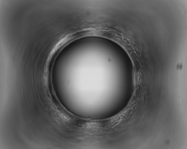 X0000101180150200806271300