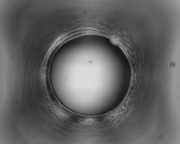 X0000101180151200806271300
