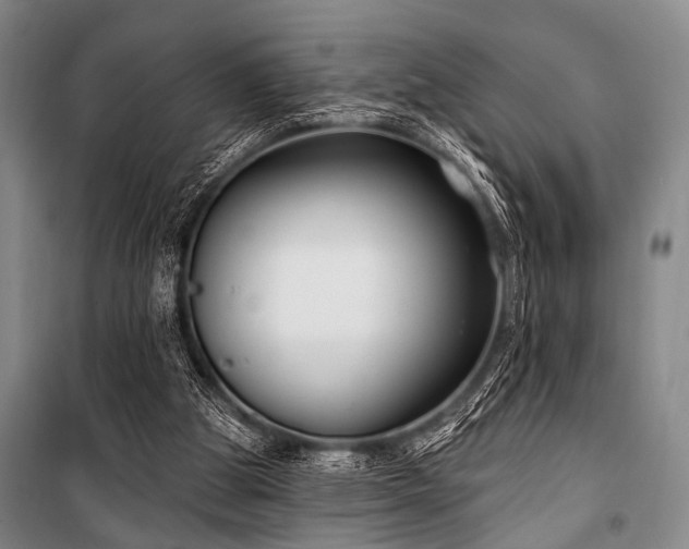 X0000101180153200806271300