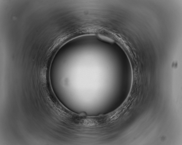 X0000101180154200806271300