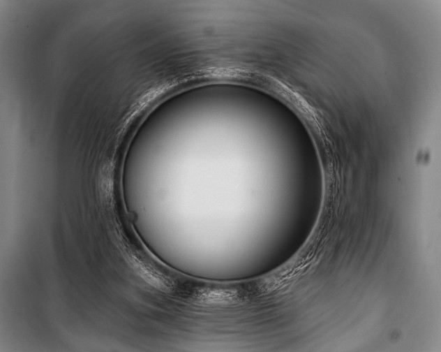 X0000101180155200806271300