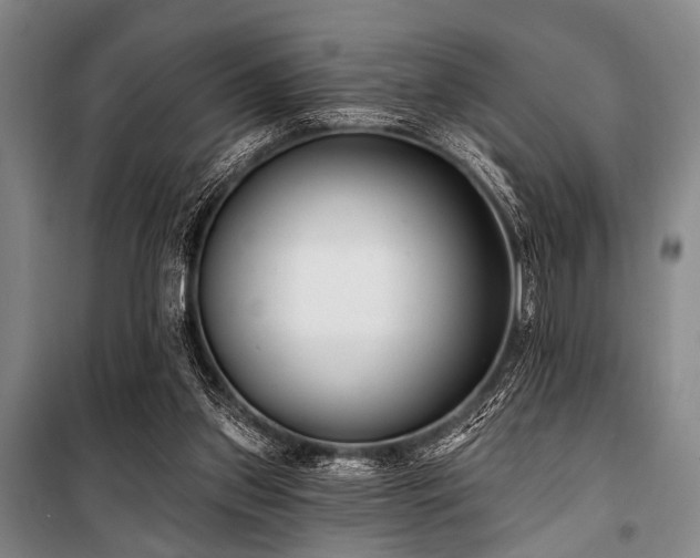 X0000101180157200806271300