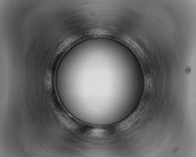 X0000101180158200806271300