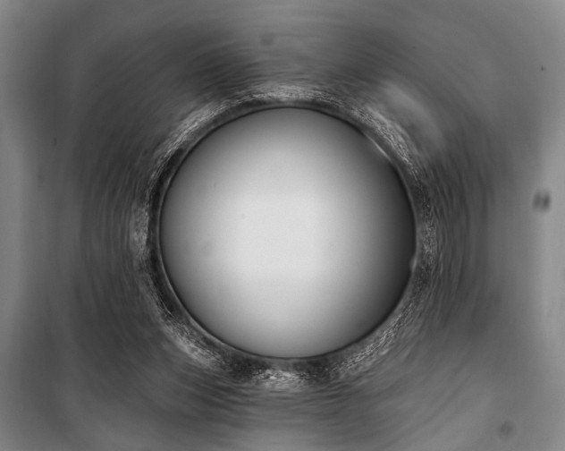 X0000101180159200806271300