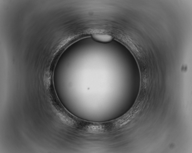 X0000101180160200806271300