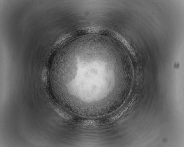 X0000101180161200806271300