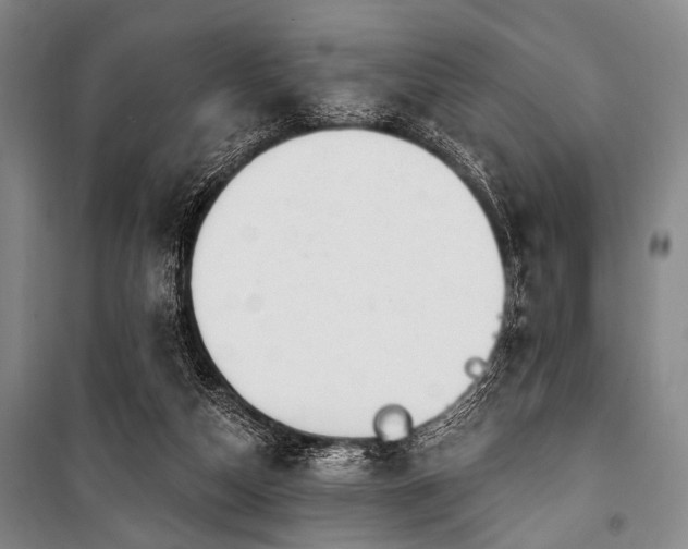 X0000101180162200806271300