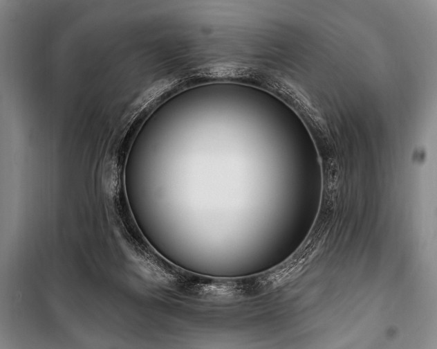 X0000101180164200806271300