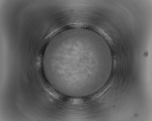 X0000101180165200806271300