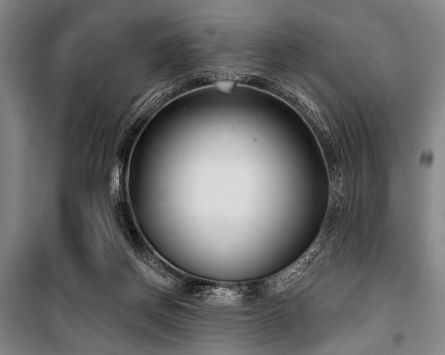 X0000101180166200806271300
