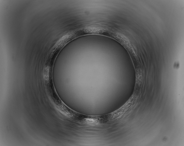 X0000101180167200806271300