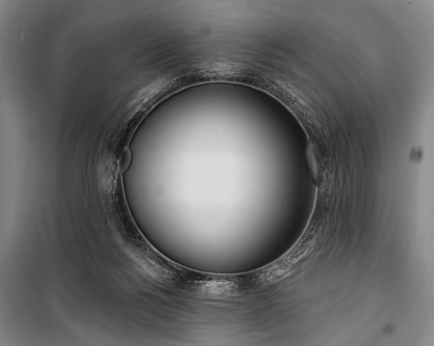 X0000101180168200806271300