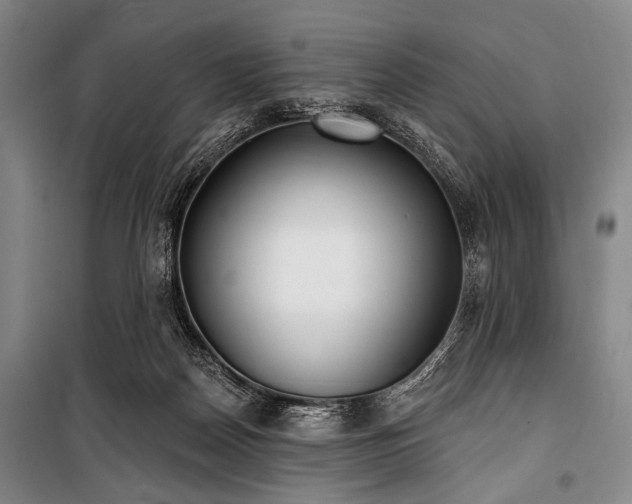 X0000101180170200806271300
