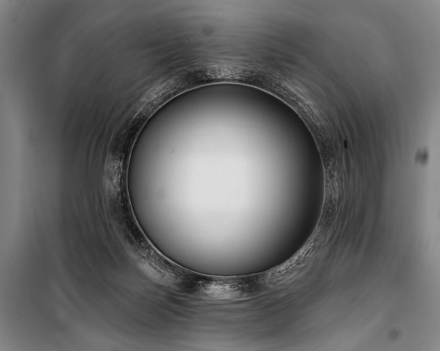 X0000101180171200806271300