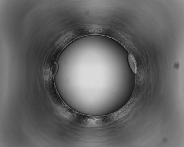 X0000101180172200806271300