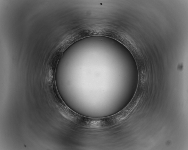 X0000101180173200806271300