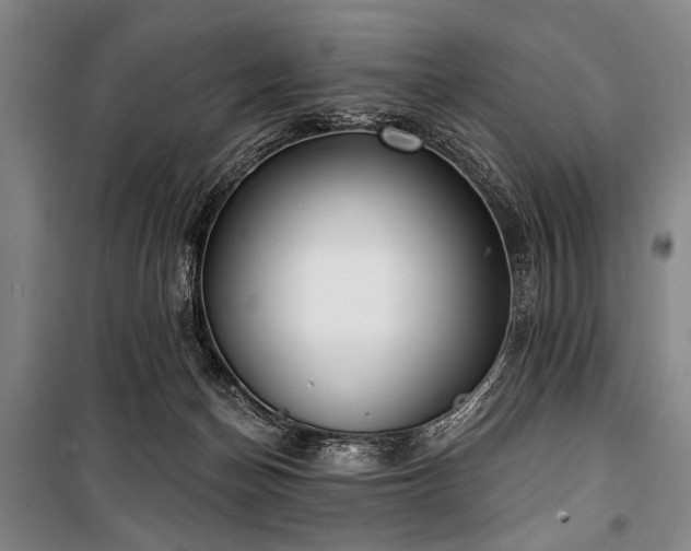 X0000101180174200806271300