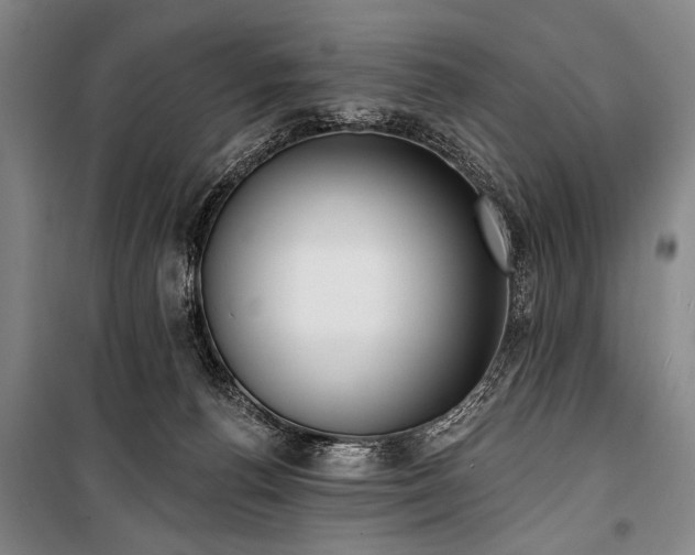 X0000101180176200806271300
