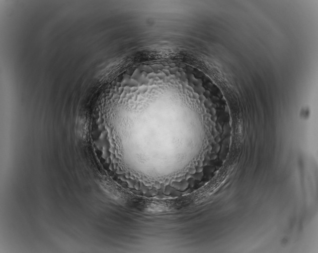 X0000101180177200806271300