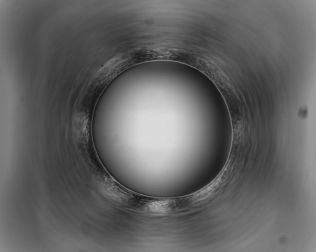 X0000101180178200806271300
