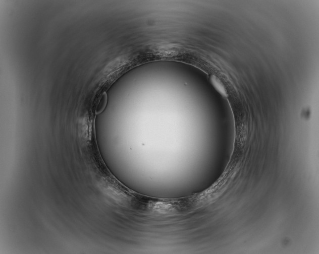 X0000101180180200806271300