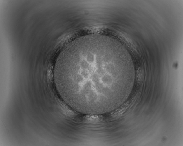X0000101180181200806271300