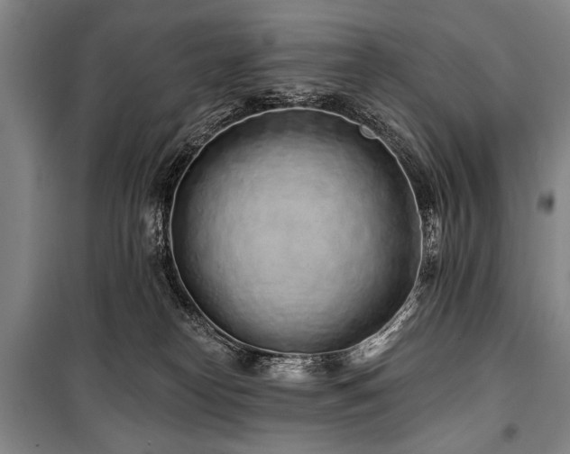 X0000101180182200806271300