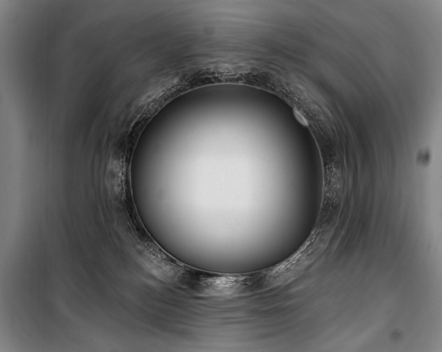 X0000101180184200806271300