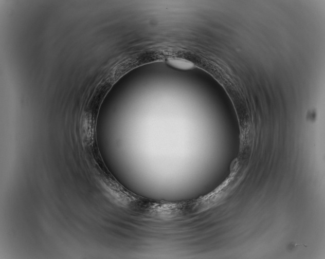 X0000101180186200806271300