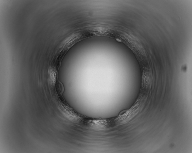 X0000101180188200806271300