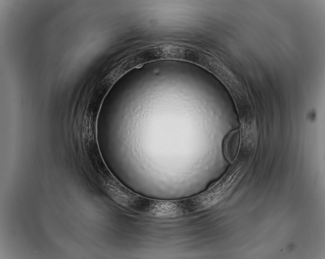 X0000101180189200806271300