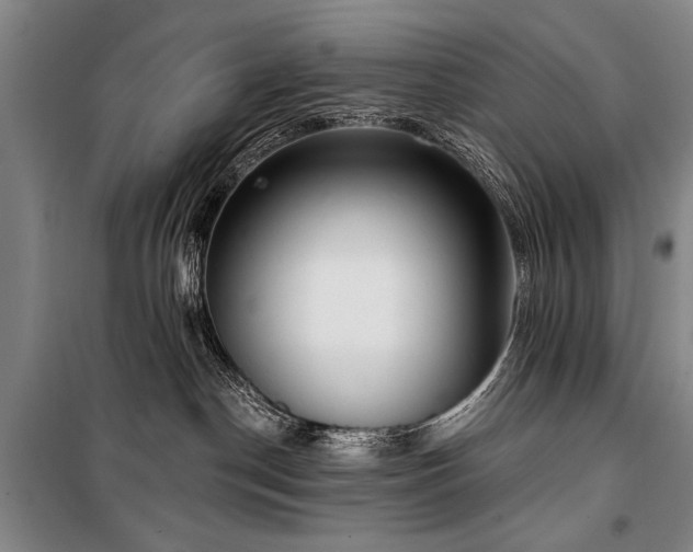 X0000101180190200806271300