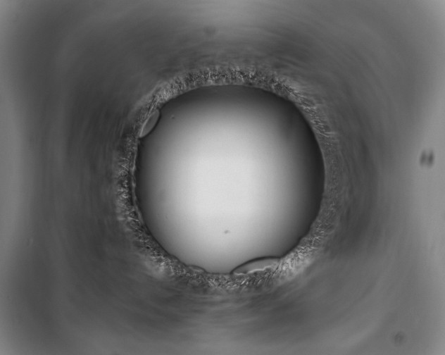 X0000101180192200806271300