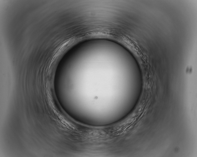 X0000101180193200806271259