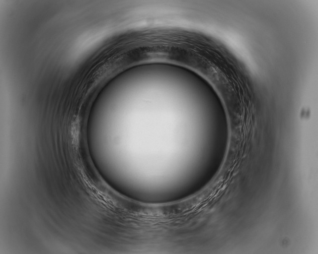 X0000101180194200806271259