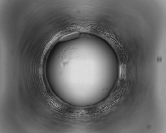X0000101180195200806271259