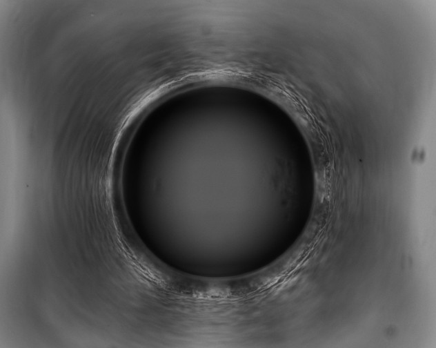 X0000101180196200806271259