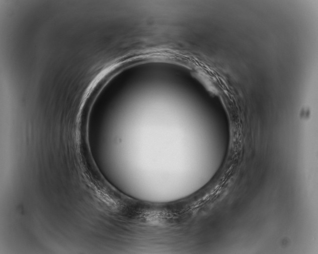 X0000101180200200806271259