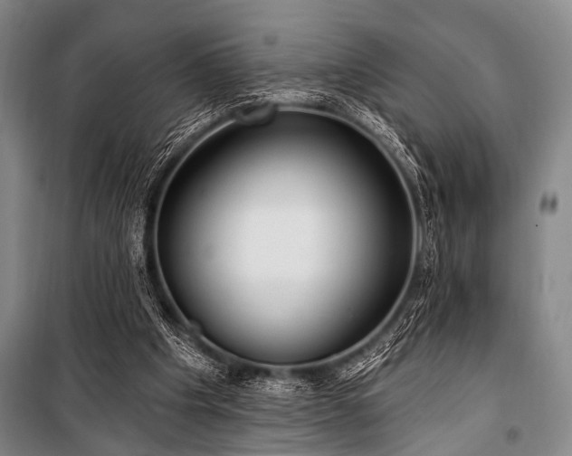 X0000101180201200806271259